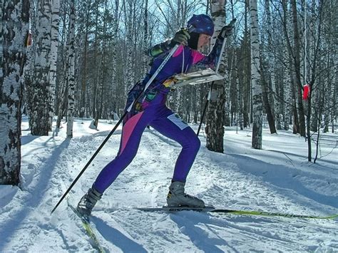 Виды лыжного спорта кратко