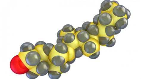 Ejemplo De Biomoleculas