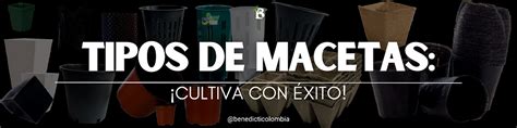 Tipos de macetas cultiva con éxito