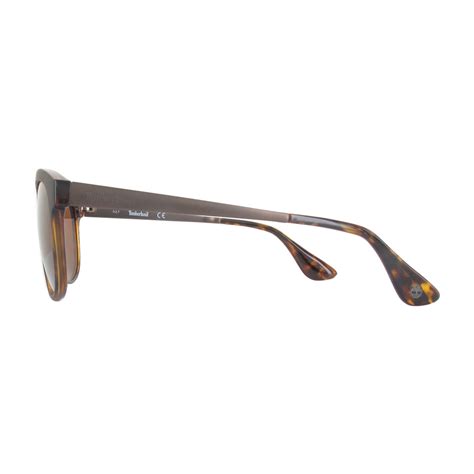 Timberland Sunglasses Tb9113 Havana Brown Polarized Curated Summer Sunglasses Touch