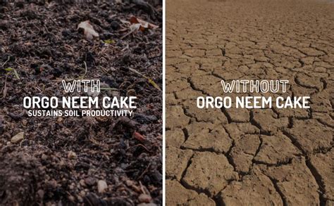 Amazon Neem Organics Orgo Neem Cake Organic Fertilizer For