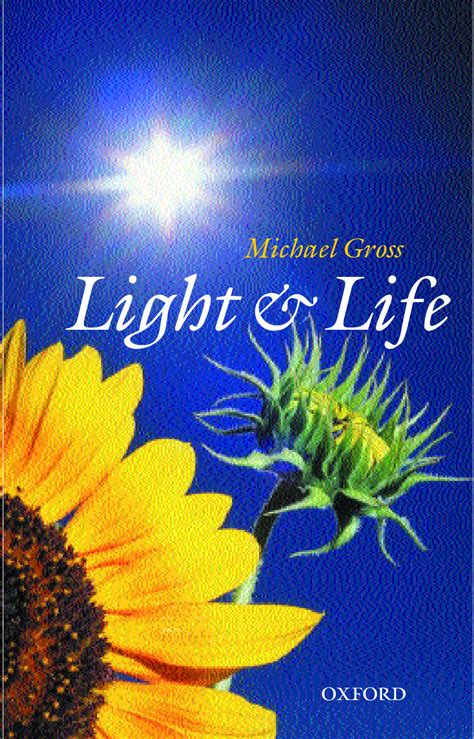 Life Light 2024 Ronni Cindelyn