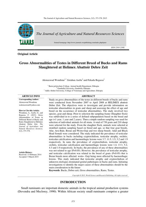 PDF Gross Abnormalities Of Testes In Different Breed Of Bucks And