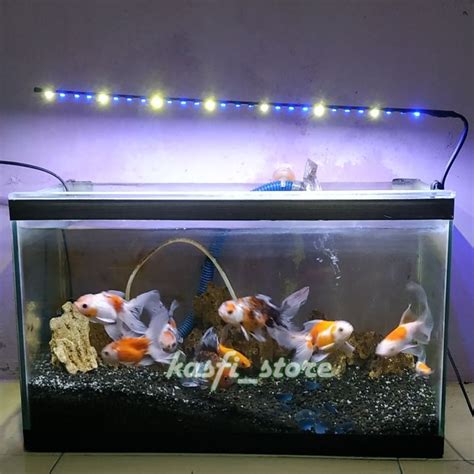 Lampu Aquarium Aquascape 50cm Dengan 28 Mata LED Smd Biru Putih 5 Volt