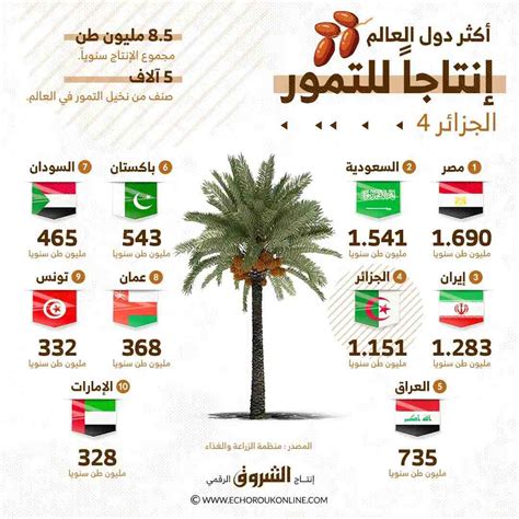 Lalgérie Parmi Les Plus Grands Producteurs De Dattes Dans Le Monde