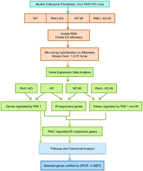 Schematic Representing Identification Of Differentially Expressed Genes