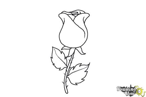 Simple Rose Bud Drawing At Explore Collection Of