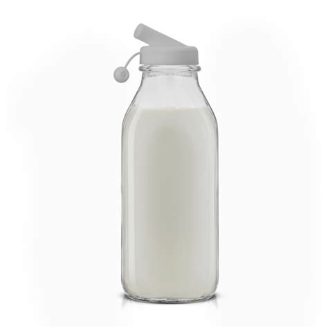 Joyjolt Reusable Glass Milk Bottle With Lid And Pourer And Reviews Wayfair