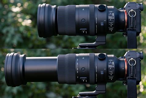 Sigma 150 600mm DG DN Sports Lens Review With Samples