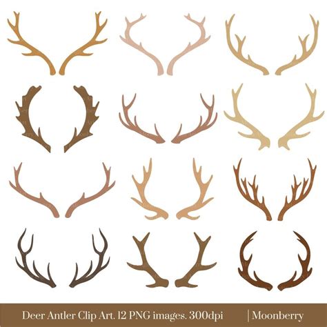 How To Draw Deer Antlers