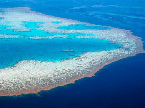 Phoebettmh Travel: (Australia) – Welcome to The Great Barrier Reef