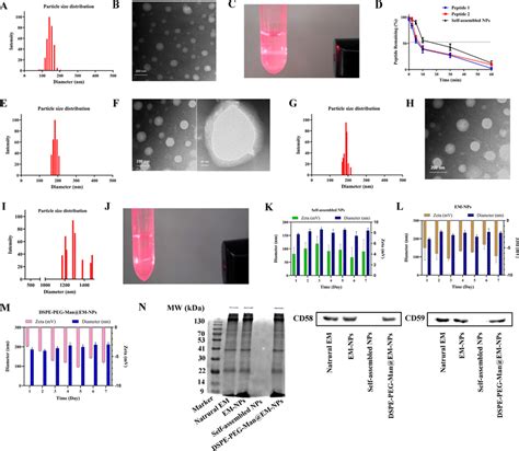 A Particle Size Distribution And Morphology Of Self Assembled Nps