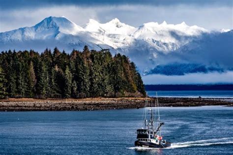 What Makes Alaska Seafood So Special? | Progressive Grocer