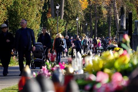 Czy Mo Na Wej Na Cmentarz Z Psem Gazeta Pomorska