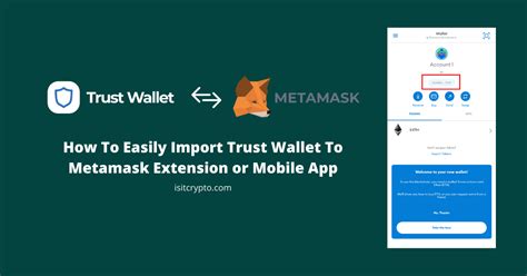 How To Import Trust Wallet To Metamask Quick Guide Isitcrypto