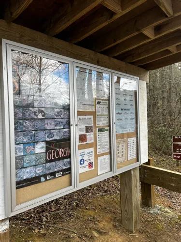 Best Kid Friendly Trails In Rabun Gap Alltrails