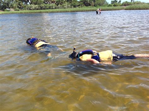 Snorkeling At The St Marks National Wildlife Refuge FWS Gov