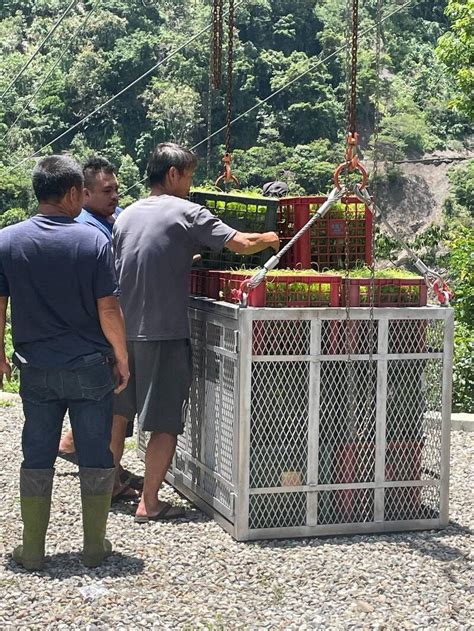 高雄桃源交通中斷！流籠運送金煌芒果下山販售 農業局補貼運費 生活 自由時報電子報