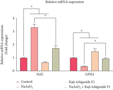 Kaji Ichigoside F Can Inhibit Nrf Gpx Signaling Pathway To Reduce