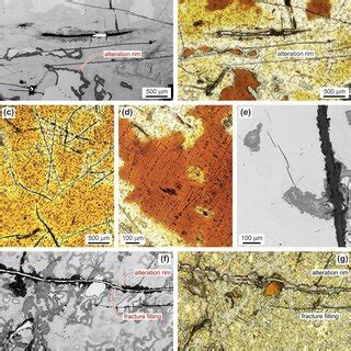 Photomicrographs Of Thin Sections Thicknesses 25 M Of Kolonna A E