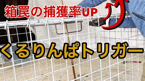 箱罠で使うトリガー『くるりんぱトリガー』の使い方と取り付け方を解説。 Youtube