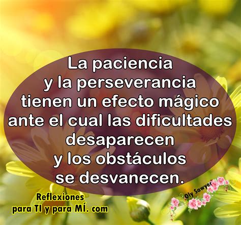 Reflexiones Para Ti Y Para MÍ La Paciencia Y La Perseverancia