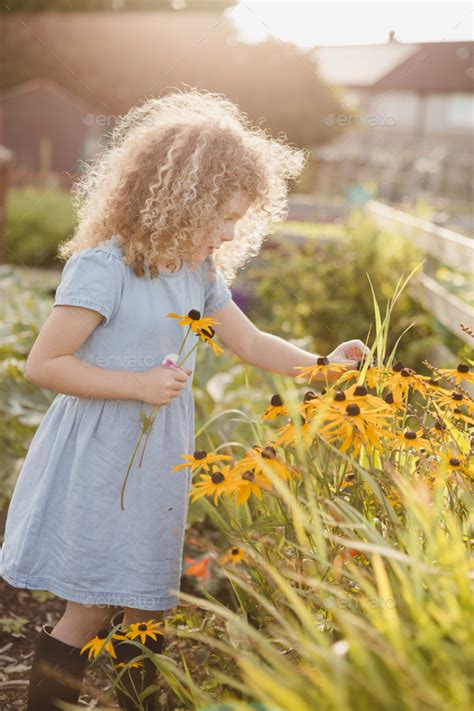 Little Girl Picking Flowers In The Garden Stock Photo By Westend61