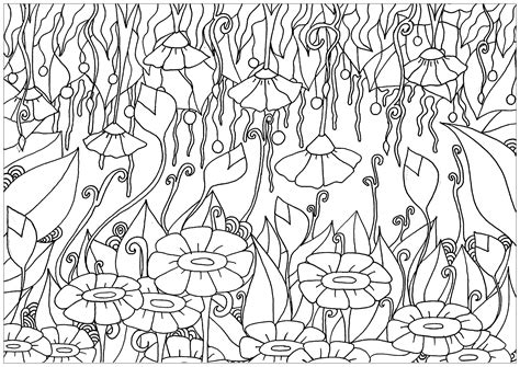 Just Flowers Flowers Adult Coloring Pages