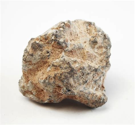 Achondrite Meteorite Unité De Mesure Sur Image 348 G Catawiki
