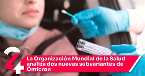 La Organización Mundial De La Salud Analiza Dos Nuevas Subvariantes De