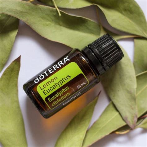 Doterra Therisches Zitronen Eukalyptus L Ml Aromapro Doterra