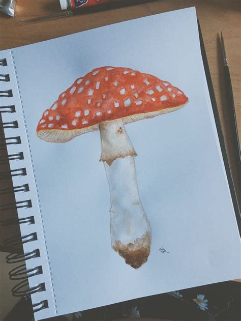 Amanita Muscaria Toadstool Mushroom Watercolour A5 Cottagecore