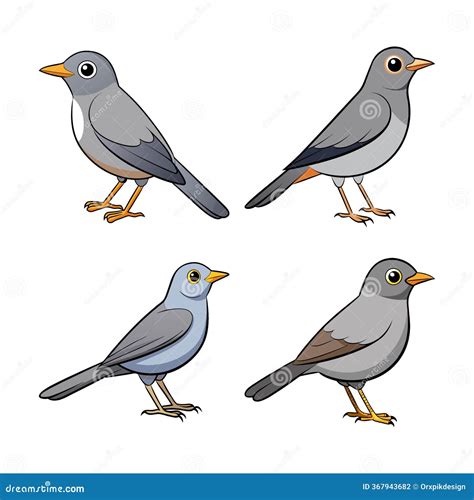 Majestic Gray-cheeked Thrush Artwork Vector Illustration
