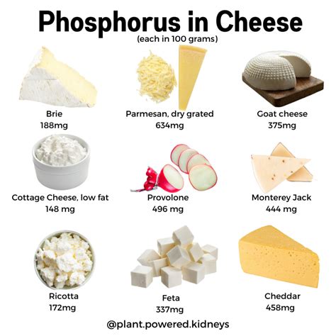 Potassium In Swiss Cheese