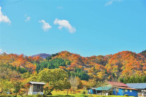 山裾の秋。 By Oregano （id：10736006） 写真共有サイトphotohito