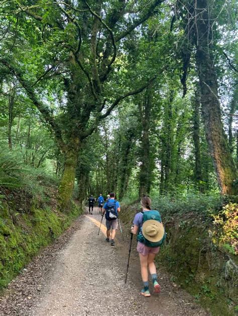 walk  camino de santiago  reasons