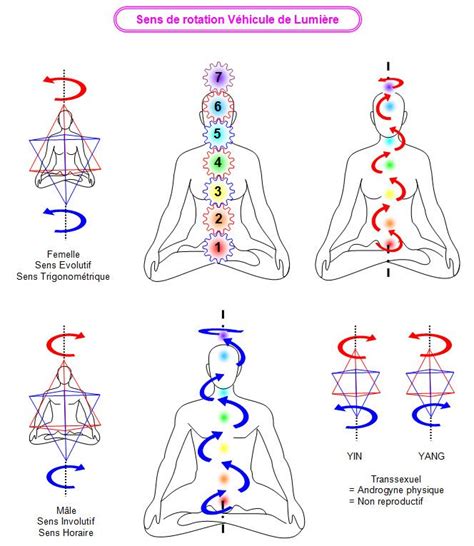 Tout savoir sur les chakras Rôle et fonctionnement Audrey Langen