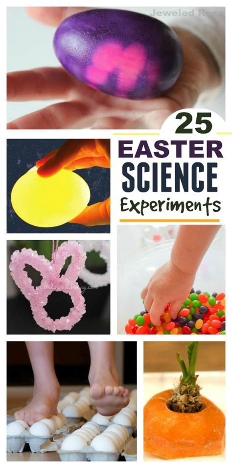 Easter Science for Kids | Growing A Jeweled Rose