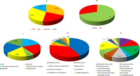 Functional Annotation And Subcellular Localization Of The Proteins