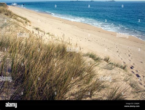 Shell Beach Island Of Herm Channel Islands Stock Photo Alamy