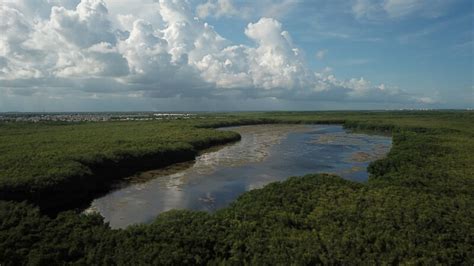 La Jornada Maya Quintana Roo Reuters Vulcan Materials Rechaza