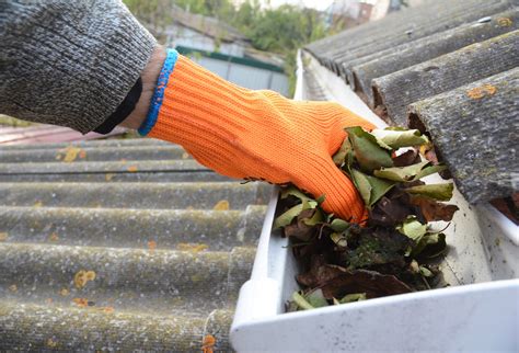 Gutter Cleaning Windows Only Montgomery County Maryland Window