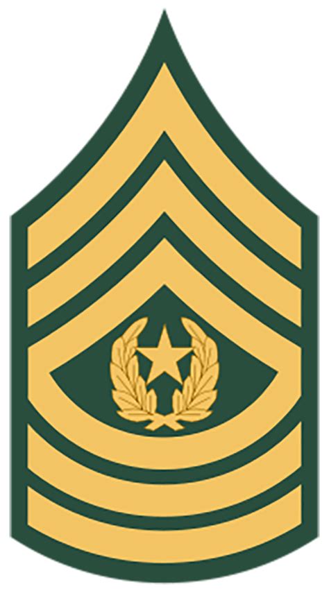 Enlisted Army Ranks : Jrotc Rank Structure Enlisted Officer Rank ...