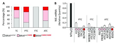 Braf V600e Mutation And Nis Expression In Thyroid Cancer Cell Lines