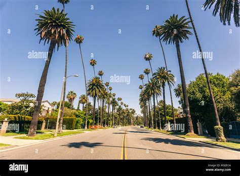 Beverly hills -Fotos und -Bildmaterial in hoher Auflösung – Alamy