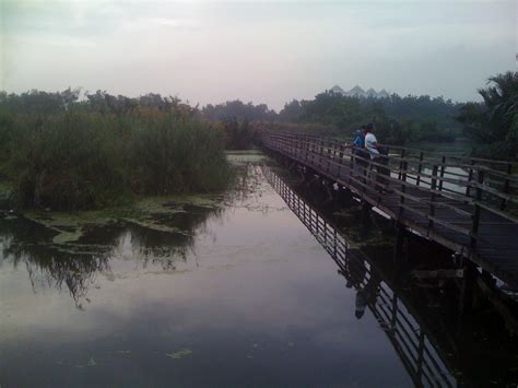 stp sahid assignments ecotourism class suaka margasatwa muara angke