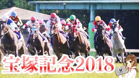 【宝塚記念2018】異常投票パトロール＆厳選予想【上期グランプリ】｜競馬ブログ K Ba Life