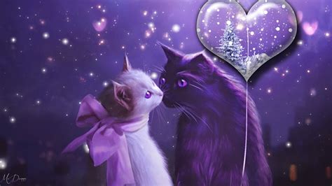 Valentine Cats Wallpaper (58+ images)