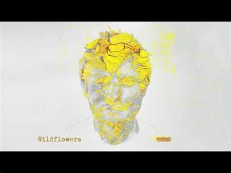 Ed Sheeran Ed Sheeran Wildflowers Official Visualiser Music