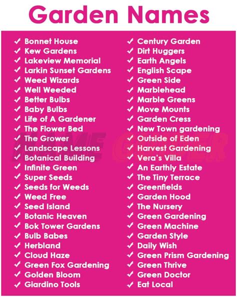 150 Fun Garden Names Ideas And Suggestions 2023